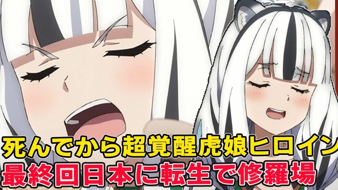 死んでから前代未聞の逆襲虎娘ヒロイン！最終決戦後日本に転生で尚文の結婚式でとんだ暴挙！アトラ両親正体やクズとの関係！【盾の勇者の成り上がり4期】【ラフタリア】【槍の勇者のやり直し】【アトラ】