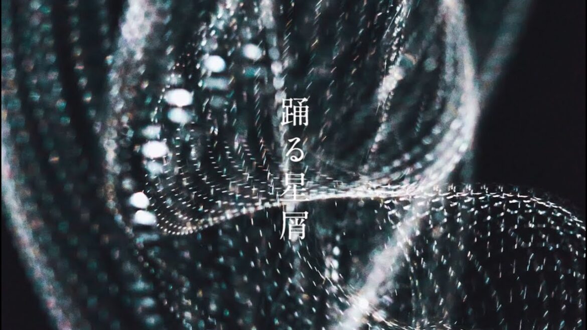 9mm Parabellum Bullet「踊る星屑」MUSIC VIDEO 9mm Parabellum Bullet「踊る星屑」MUSIC VIDEO