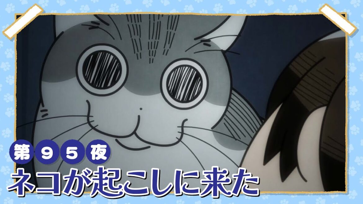 アニメ『夜は猫といっしょ』第95夜「ネコが起こしに来た」
