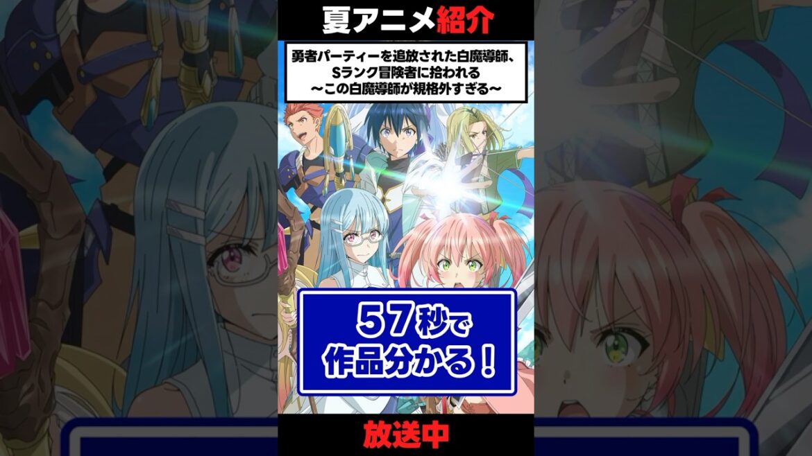 【夏アニメ】「勇者パーティーを追放された白魔導師、Sランク冒険者に拾われる ～この白魔導師が規格外すぎる～」【紹介】  #アニメ #anime