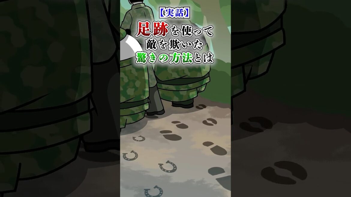 【実話】足跡を使って敵を欺いた驚きの方法とは【アニメ】#Plottアニメ #テイペン