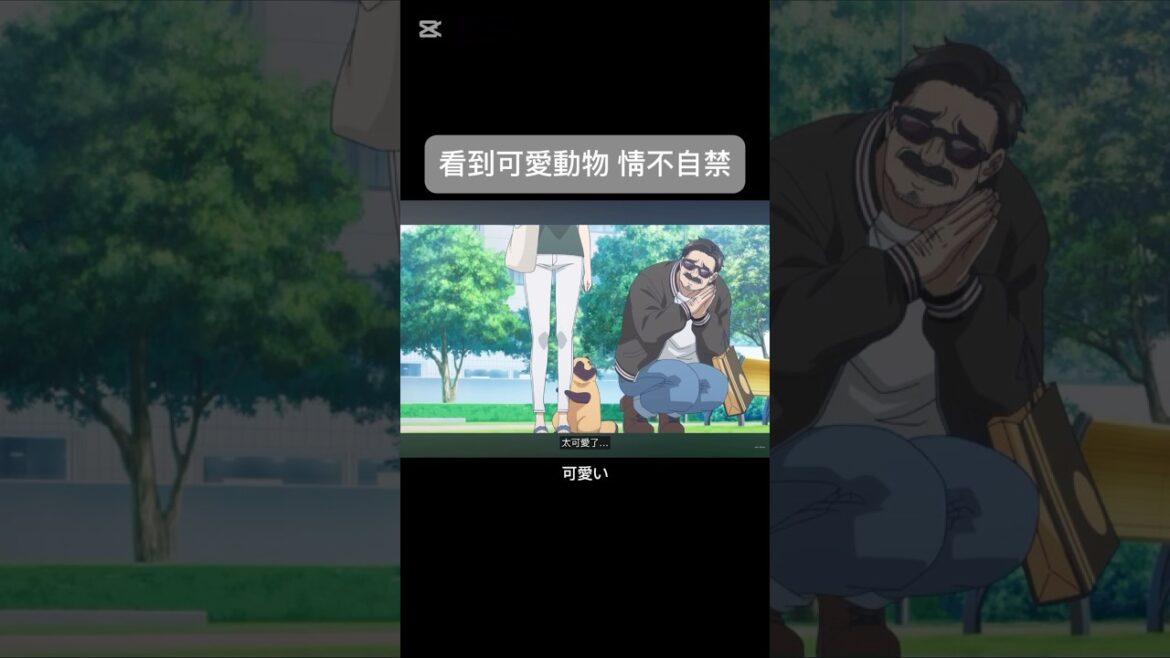 【和雨和你】 #anime #animation #アニメ #アニメーション #雨と君と #動漫