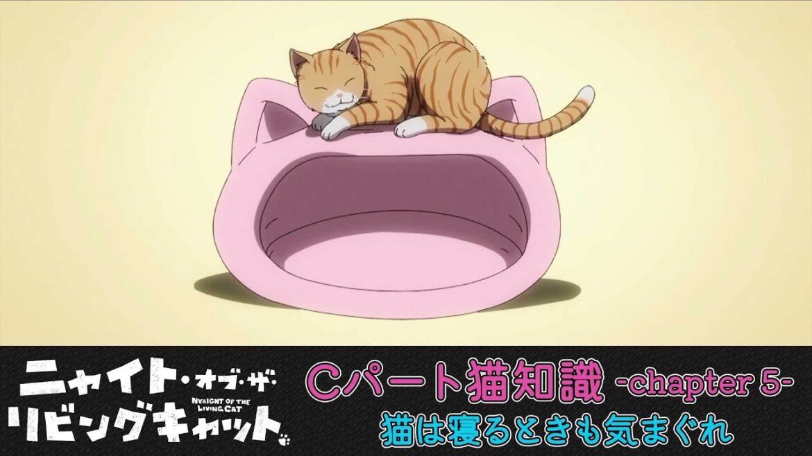 TVアニメ『ニャイト・オブ・ザ・リビングキャット』猫知識Cパート-Chapter5- TVアニメ『ニャイト・オブ・ザ・リビングキャット』猫知識Cパート-Chapter5-