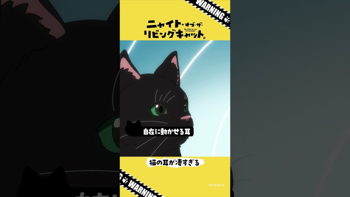 TVアニメ『ニャイト・オブ・ザ・リビングキャット』猫知識「猫の耳が凄すぎる」 TVアニメ『ニャイト・オブ・ザ・リビングキャット』猫知識「猫の耳が凄すぎる」