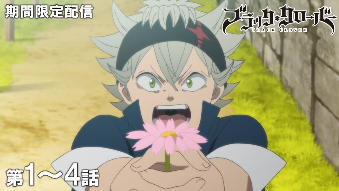 【公式アニメ】『ブラッククローバー』第1話～第4話イッキ見！【200万人記念！期間限定配信】