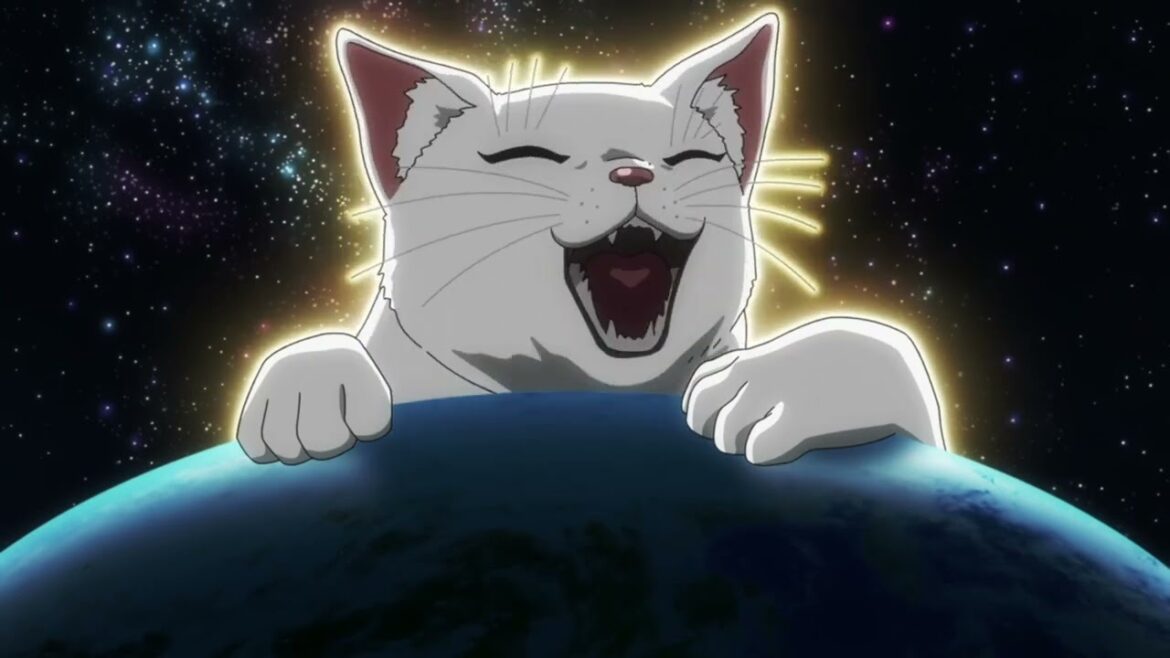 ニャイト・オブ・ザ・リビングキャット 第5話 8分間、目が離せない展開! ニャイト・オブ・ザ・リビングキャット 第5話 8分間、目が離せない展開!