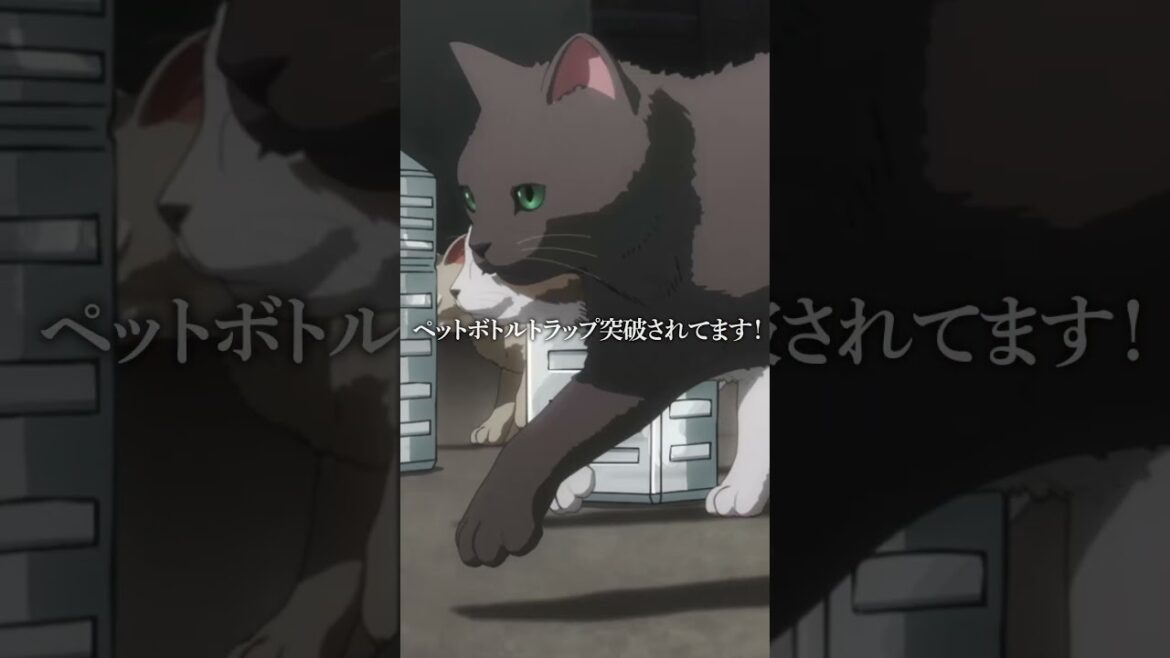 「大通り、封鎖できません!」TVアニメ『ニャイト・オブ・ザ・リビングキャット』第2話名場面 「大通り、封鎖できません!」TVアニメ『ニャイト・オブ・ザ・リビングキャット』第2話名場面