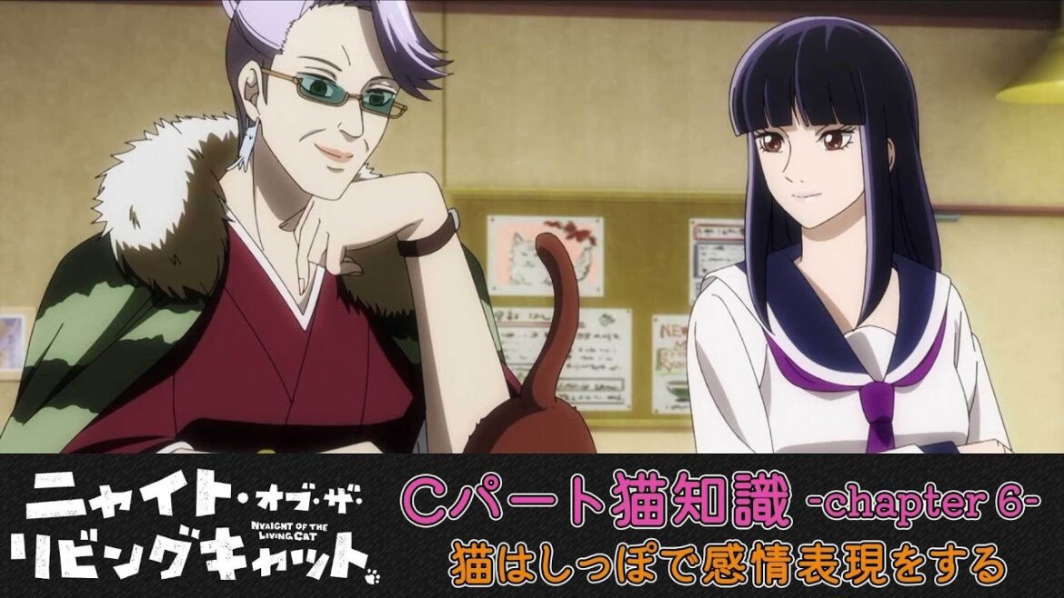 TVアニメ『ニャイト・オブ・ザ・リビングキャット』猫知識Cパート-Chapter６-