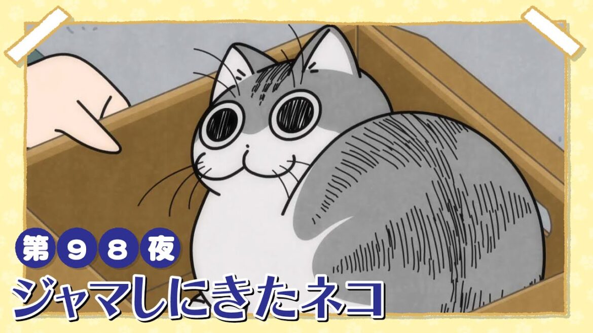 アニメ『夜は猫といっしょ』第98夜「ジャマしにきたネコ」