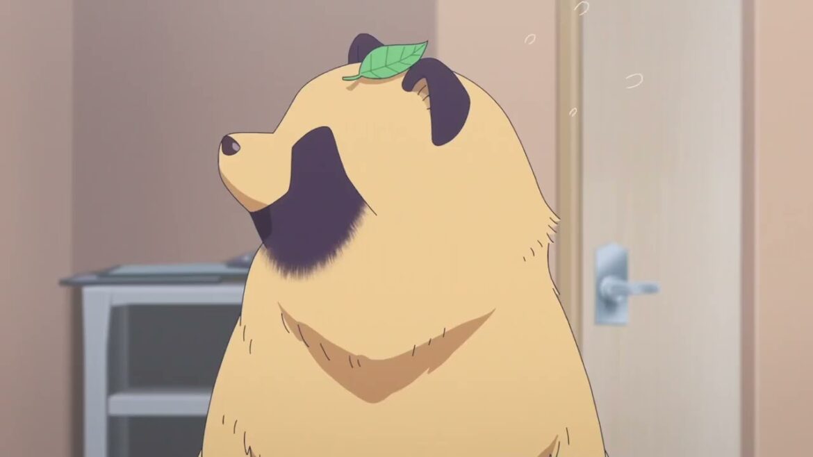 With You and the Rain 雨と君と funny moment :" The Vet Scene "