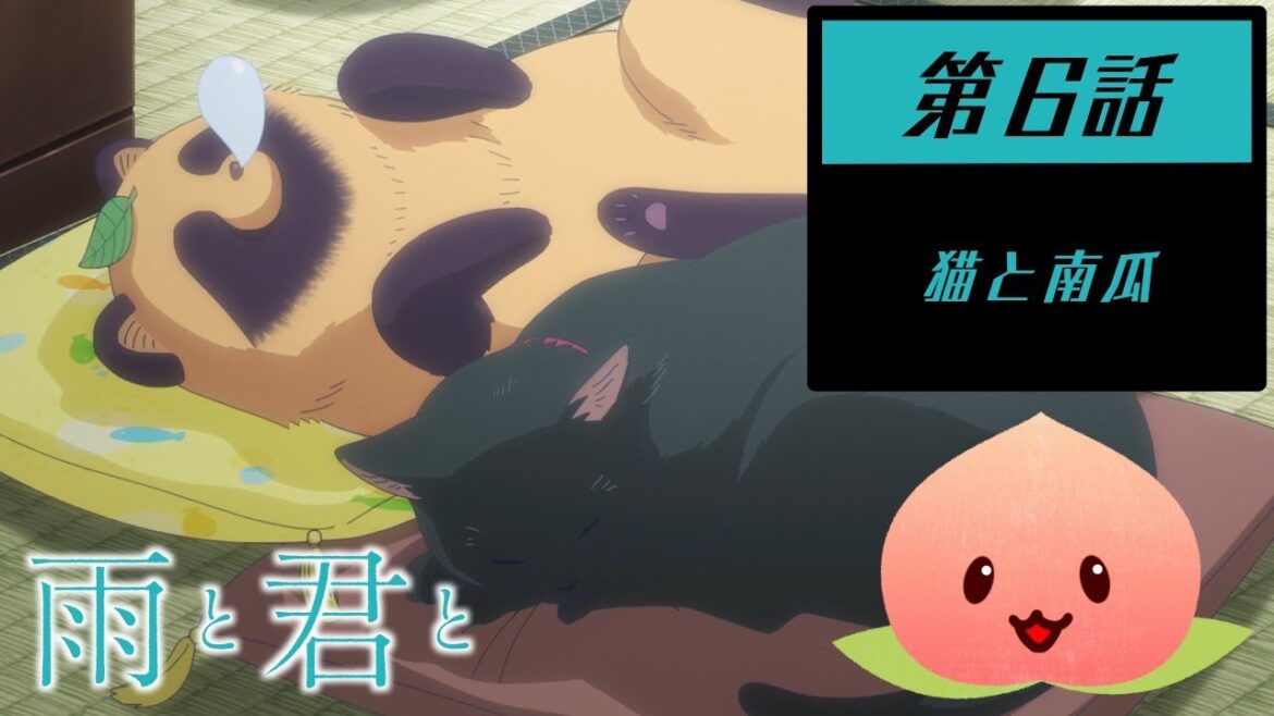 【同時視聴2025夏6-006】雨と君と[第6話]猫と南瓜【マダム・ヤオ】