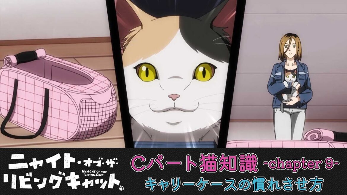 TVアニメ『ニャイト・オブ・ザ・リビングキャット』猫知識Cパート-Chapter９-