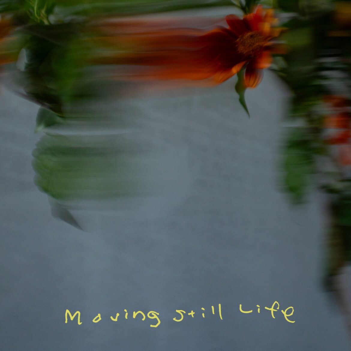 ceroが音楽を担当するアニメ映画『ホウセンカ』OPテーマ「Moving Still Life」、9/5（金）配信リリース開始 - News