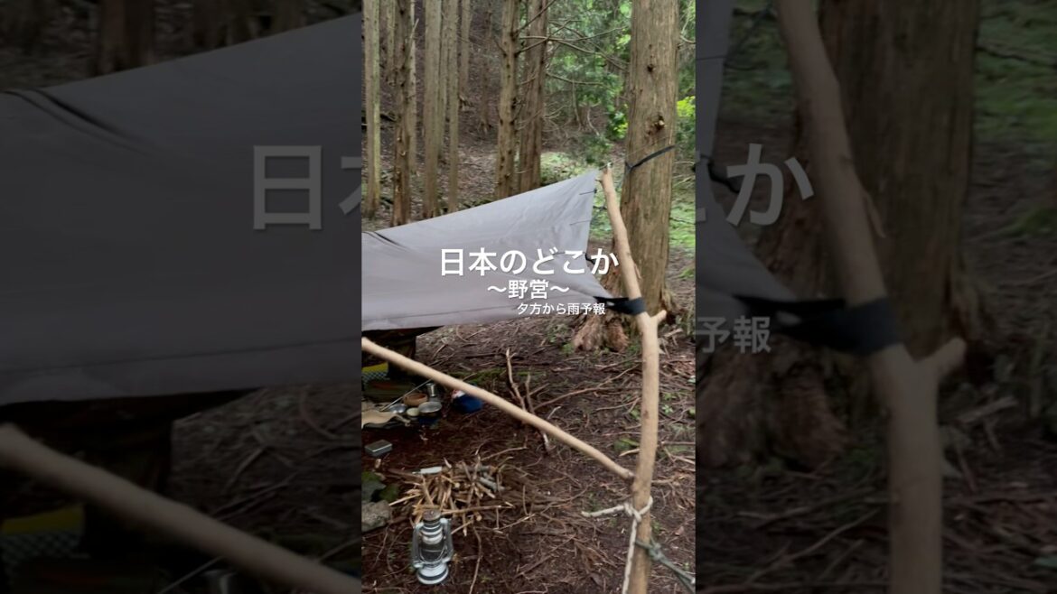 『日本のどこか』〜野営2025.8月　　　　　　　　　ふたりソロでhammock泊#ハンモック泊 #ソロキャンプ #野営