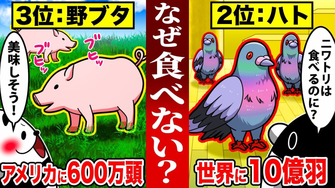 【超危険】絶対に食べてはいけない衝撃の生物４選【アニメ】