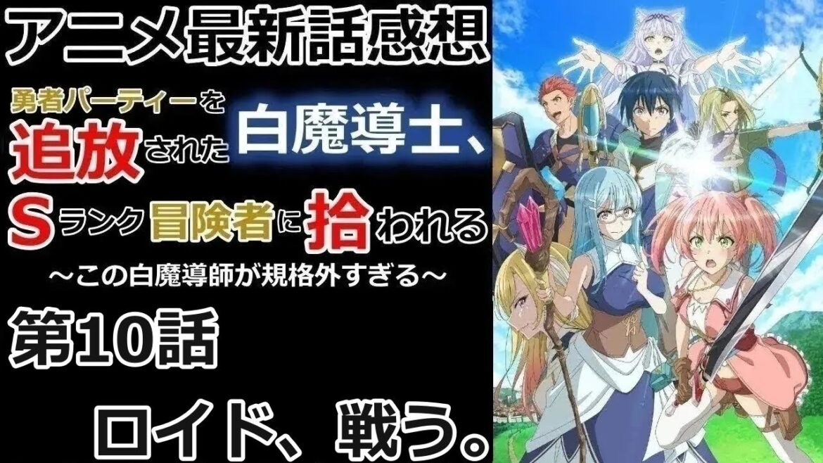 【感想】実力不足【勇者パーティーを追放された白魔導師、Sランク冒険者に拾われる】【レビュー】 【感想】実力不足【勇者パーティーを追放された白魔導師、Sランク冒険者に拾われる】【レビュー】