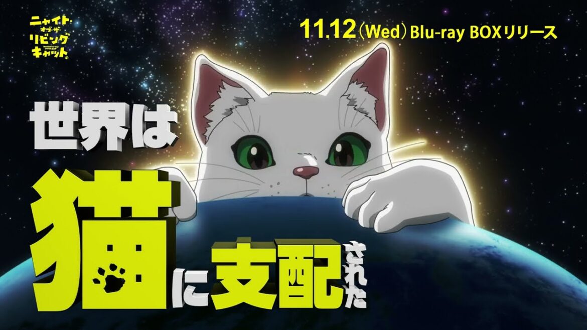『ニャイト・オブ・ザ・リビングキャット』Blu-ray BOX 11/12(水)発売！