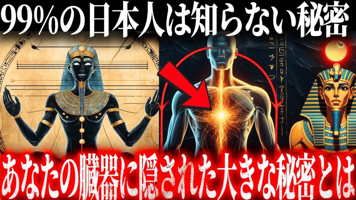 99%の日本人は知らないエネルギーをコントロールする隠れた臓器とは...