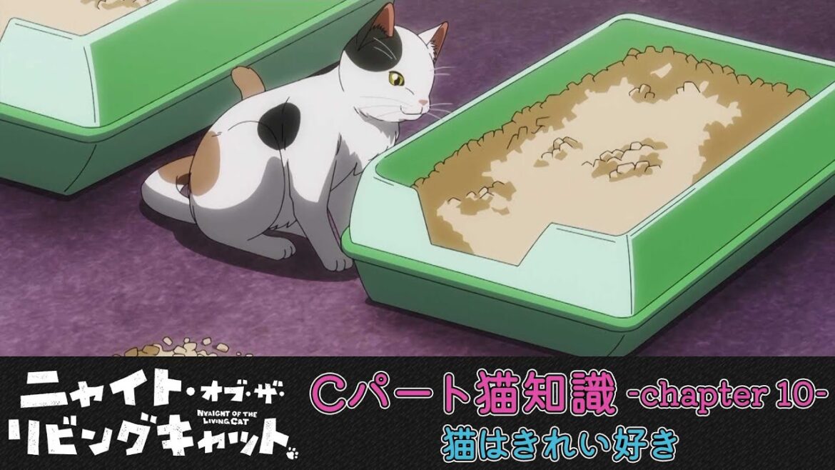 TVアニメ『ニャイト・オブ・ザ・リビングキャット』猫知識Cパート-Chapter10-
