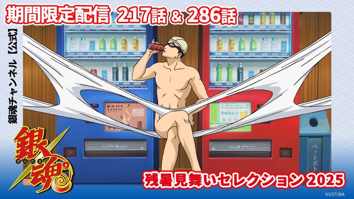 【アニメ銀魂公式】残暑見舞いセレクション2025 期間限定第217話&第286話 【アニメ銀魂公式】残暑見舞いセレクション2025 期間限定第217話&第286話