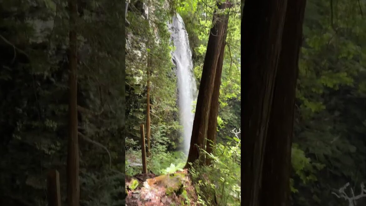 いつかふたりソロ新滝！キャンプ終了！