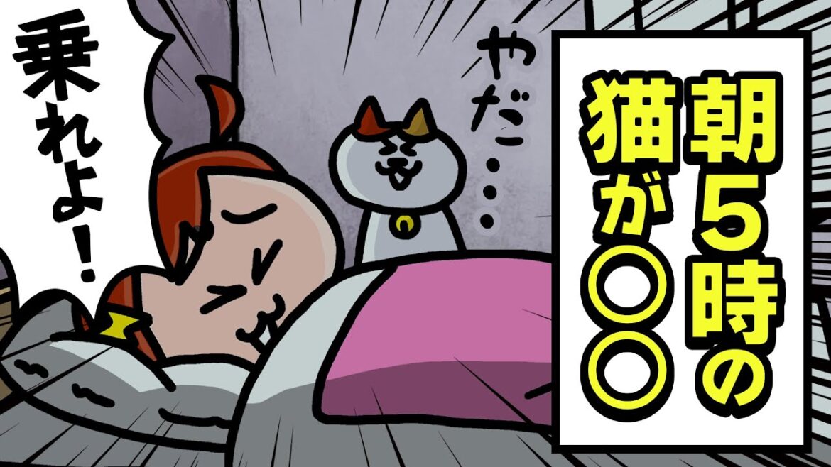 【アニメ】乗りたいのに○○なミーコ（２回目）　 | ナミミコ