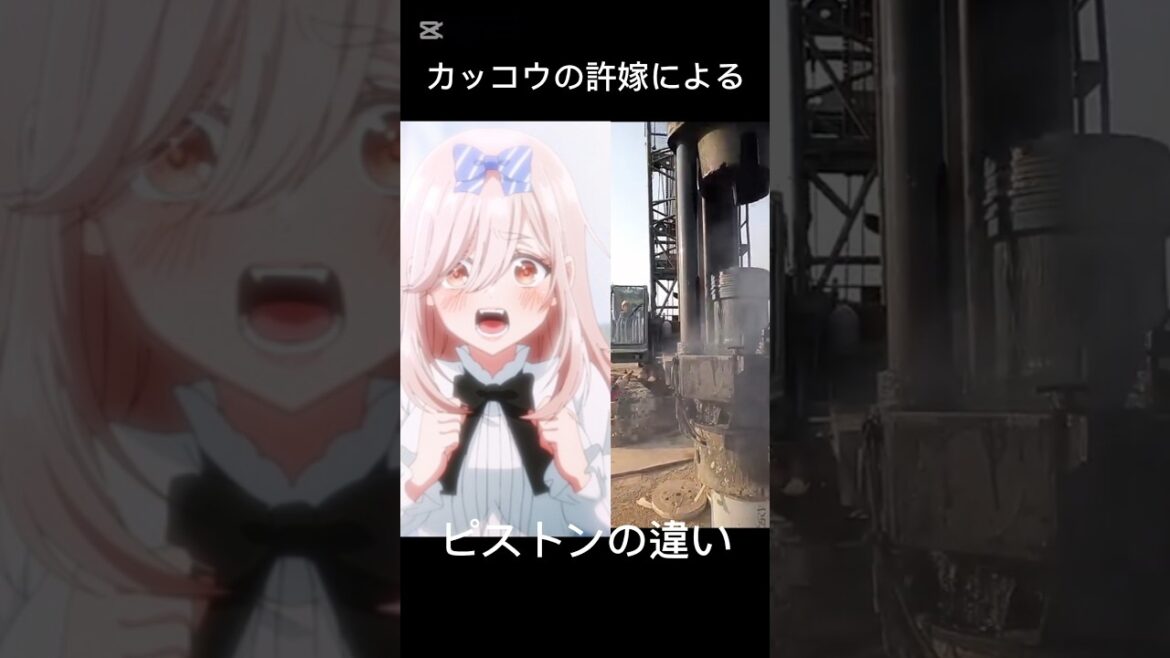 カッコウの許嫁キャラに対するピストンの違い#shorts #short #カッコウの許嫁  #アニメ #ピストン#ピストンの違い