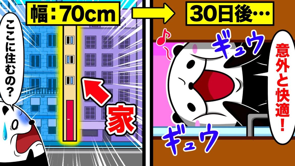 世界一窮屈な家に住むとどうなるのか?~実在する激狭住宅3選~【アニメ】 世界一窮屈な家に住むとどうなるのか?~実在する激狭住宅3選~【アニメ】