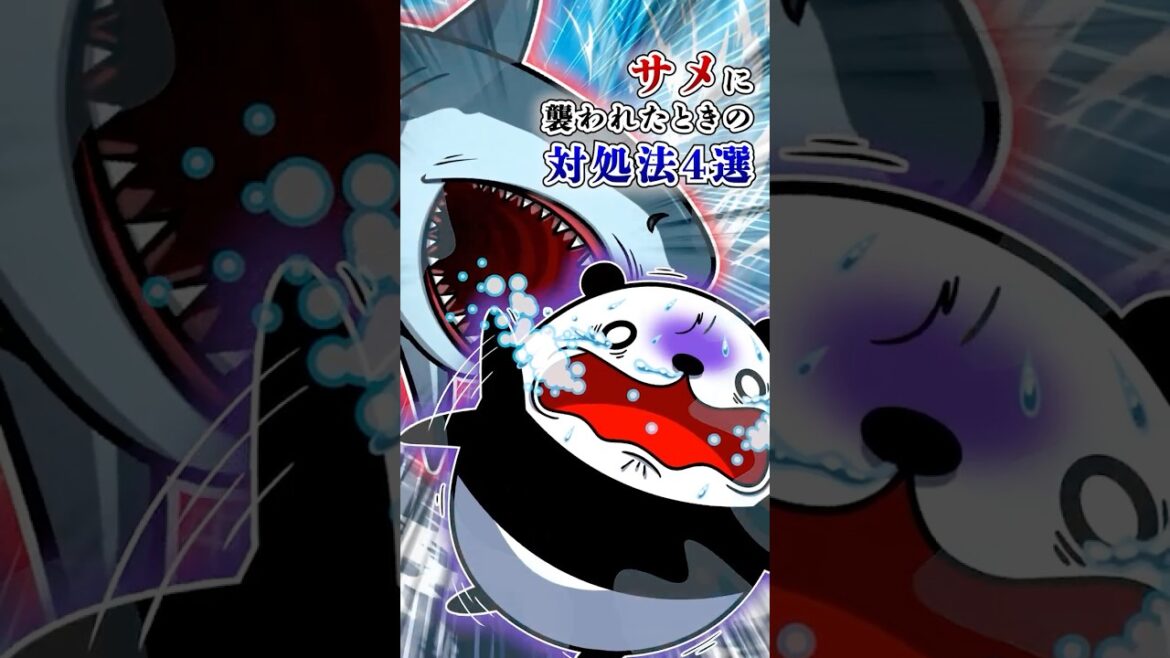 サメに襲われたときの対処法4選 サメに襲われたときの対処法4選