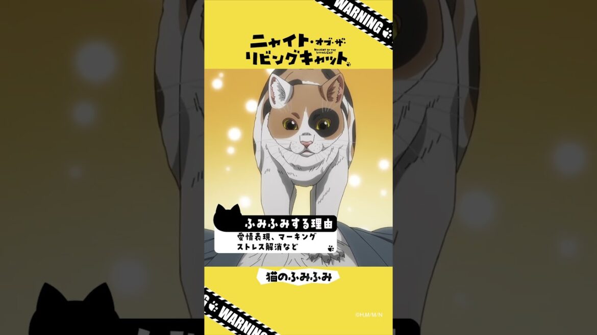 TVアニメ『ニャイト・オブ・ザ・リビングキャット』猫知識「猫のふみふみ」