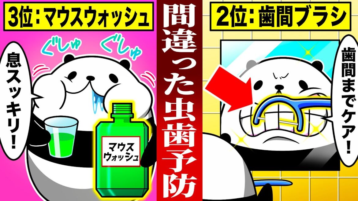 【必見】間違った虫歯の予防法【総集編】【アニメ】 【必見】間違った虫歯の予防法【総集編】【アニメ】