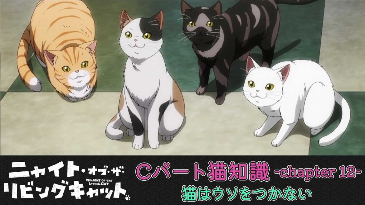 TVアニメ『ニャイト・オブ・ザ・リビングキャット』猫知識Cパート-Chapter12-