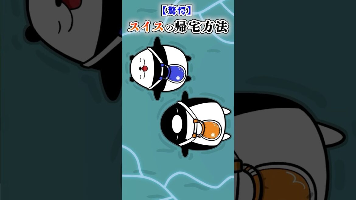 【衝撃】スイスに実在する驚きの帰宅方法とは