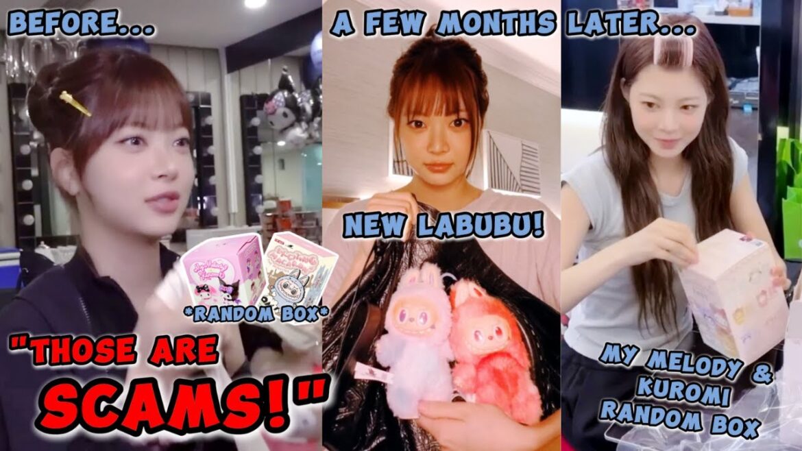 EUNCHAE suddenly became obsessed with Labubu and the 'My Melody & Kuromi' random box 😍😋
