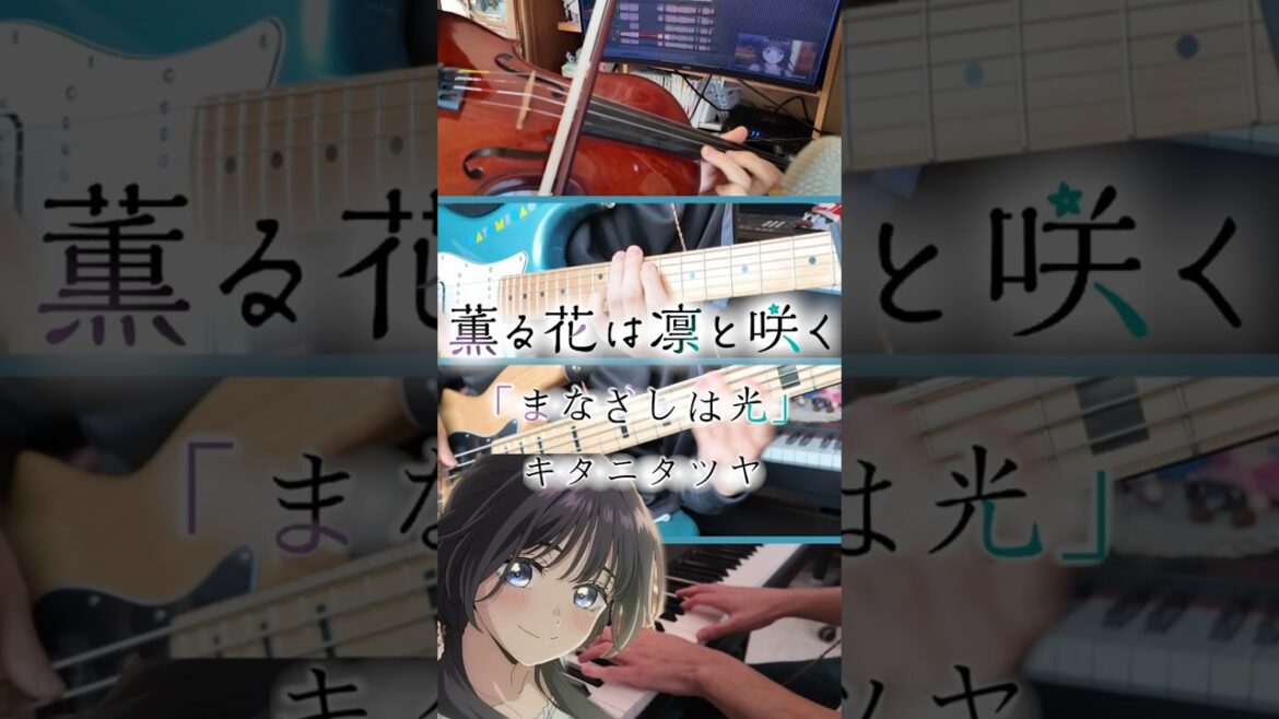 キタニタツヤ「まなざしは光」『#薫る花は凛と咲く』#弾いてみた #ヴァイオリン #ギター #ピアノ #ベース #cover #violin #guitar #piano #bass