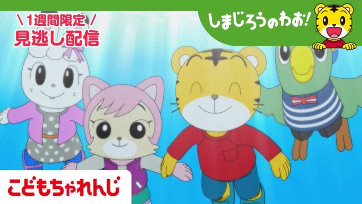 【見逃し配信】テレビ番組「しまじろうのわお！」 9月27日放送 ｜まいごの イルカ｜#692 【しまじろうチャンネル公式】