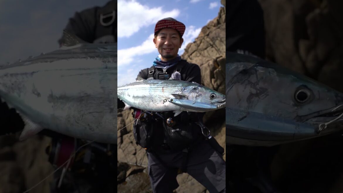 カツオを狂わせるバレットファスト!! #ハードコア #ロックショア #BULLETFAST