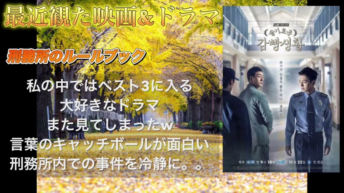 最近観た映画＆ドラマ。。★ですがーｗ少し前に観たドラマです(*'▽')【パク・ミニョンさん〇★　パク・ミヨンさん✖間違えて打っていましたm(__)m】