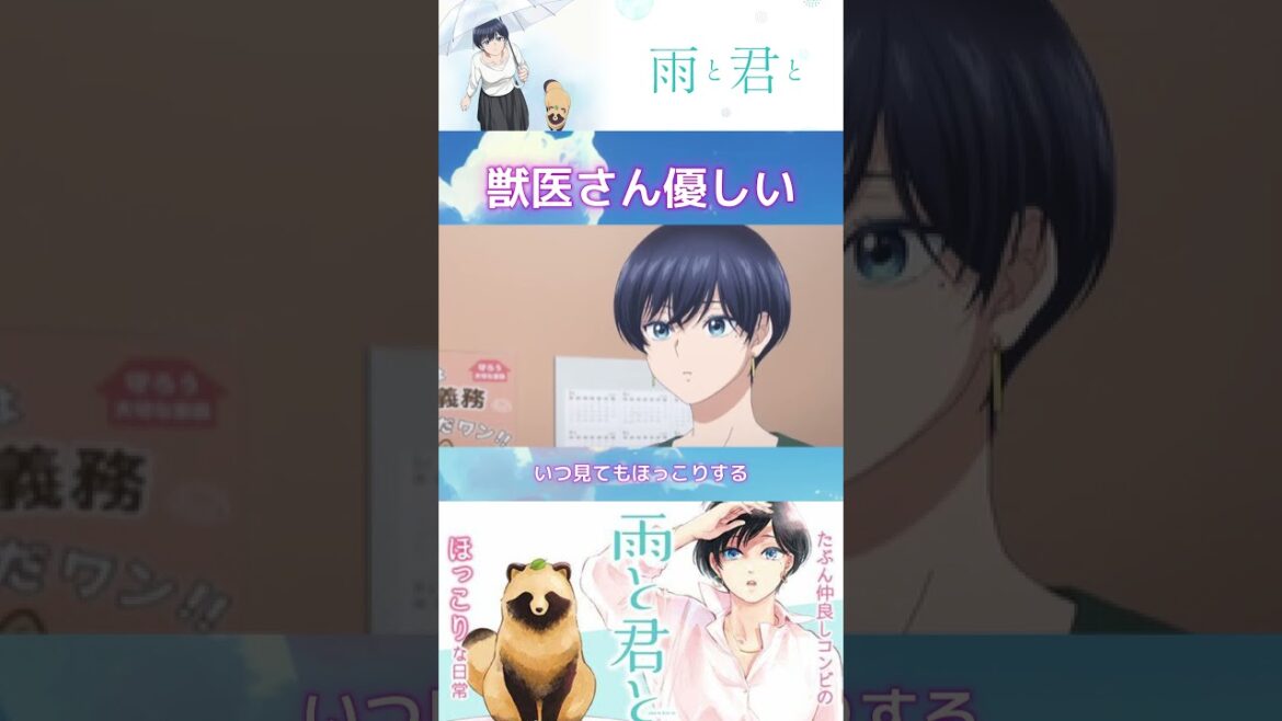 【検診】獣医さん優しいなぁ...  #shorts #雨と君と #anime #2025夏アニメ