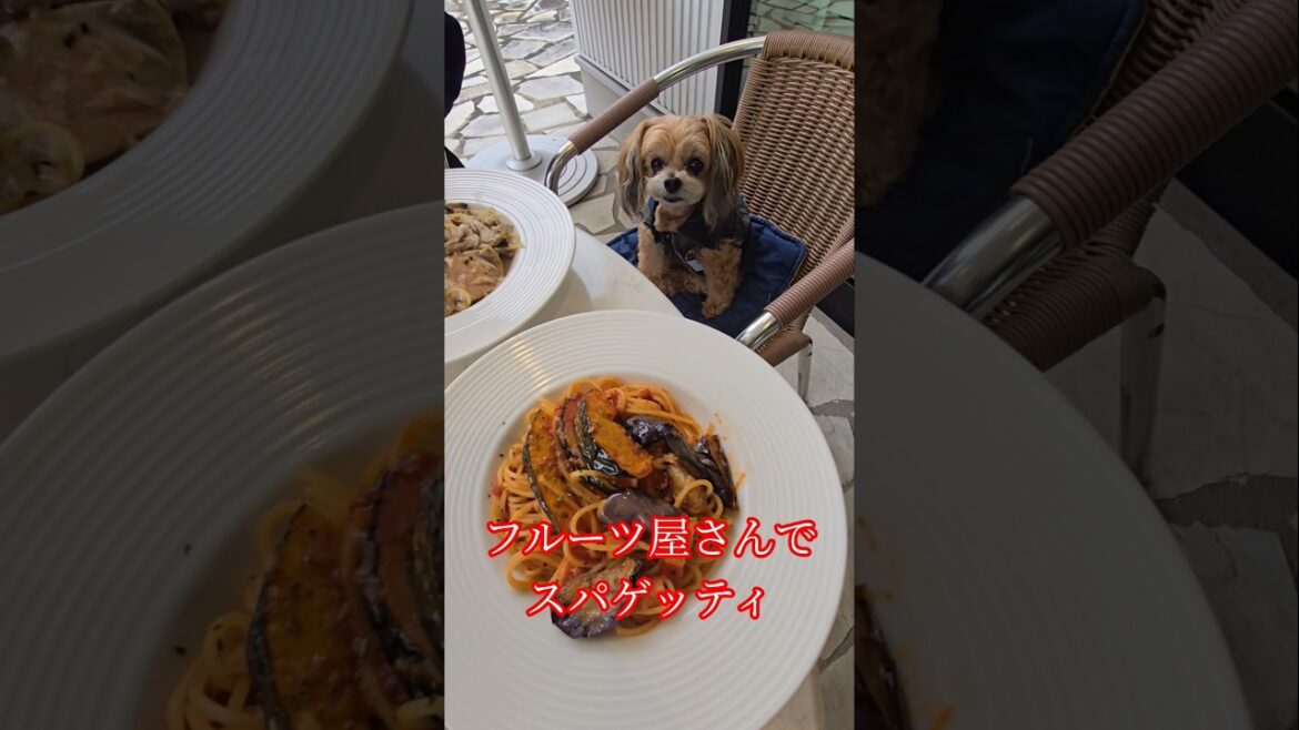 フルーツ屋さんでスパゲッティ