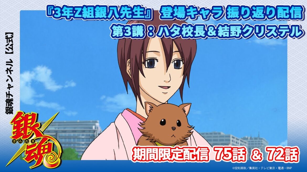 【アニメ銀魂公式】『3年Z組銀八先生』第3講登場キャラ振り返り配信｜銀魂75話＆72話