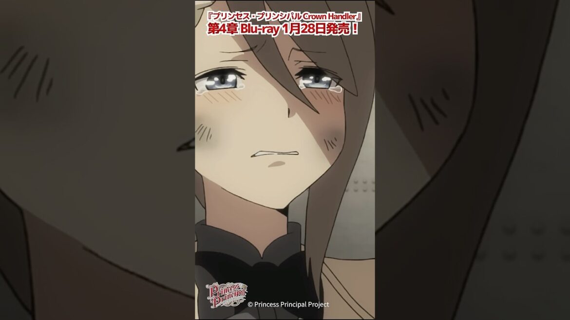 プリンセス・プリンシパル 第12話「・・・バカ！！」#プリプリ #pripri #アニメ