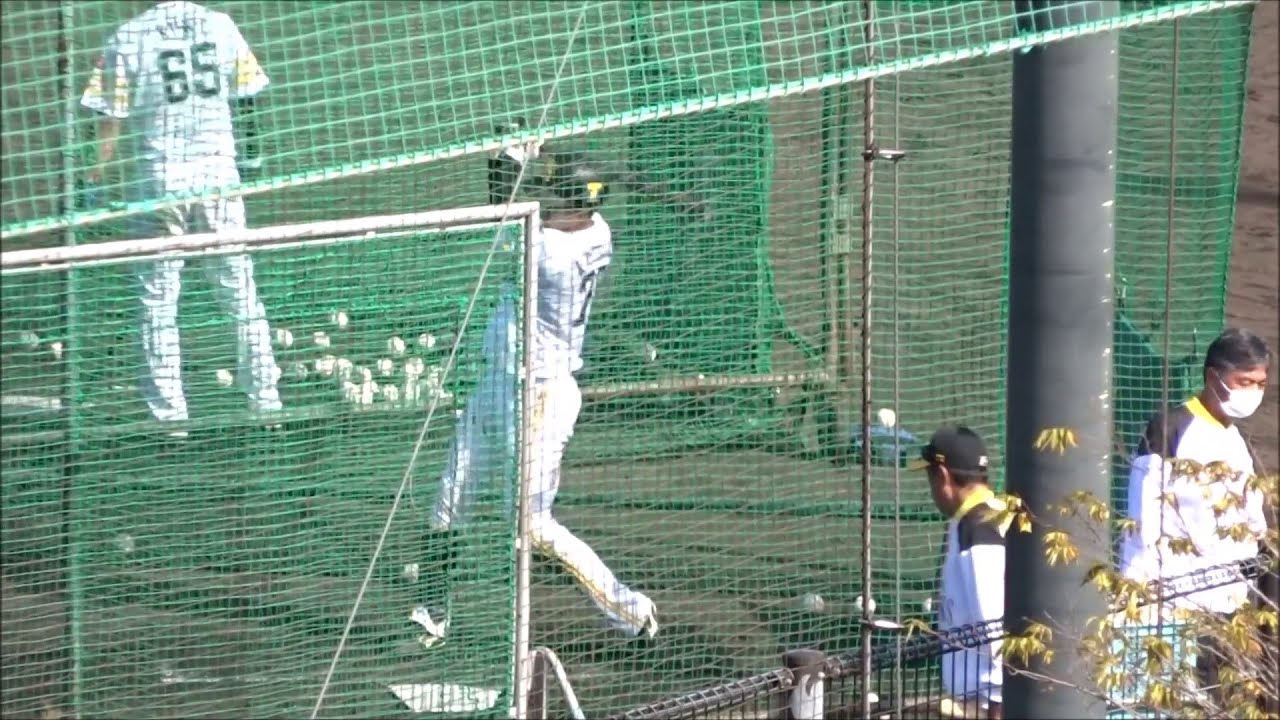 渡邊陸選手、宮崎市生目の杜運動公園第2野球場でのフリーバッティング Baseball WACOCA JAPAN People, Life, Style 渡邊陸選手、宮崎市生目の杜運動公園第2野球場でのフリーバッティング Baseball WACOCA JAPAN People, Life, Style