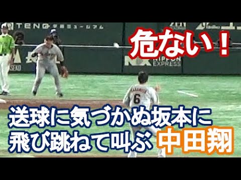 【危ない！】中田翔、2塁送球に気づかぬ坂本に、必死で飛び跳ねて叫ぶ（2022.7.5）巨人vsヤクルト戦の守備