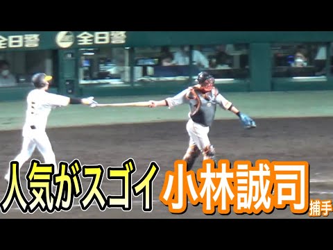 不動の人気！ジャイアンツ小林誠司捕手　最後のレフト前ヒット時のファンは小林コール！