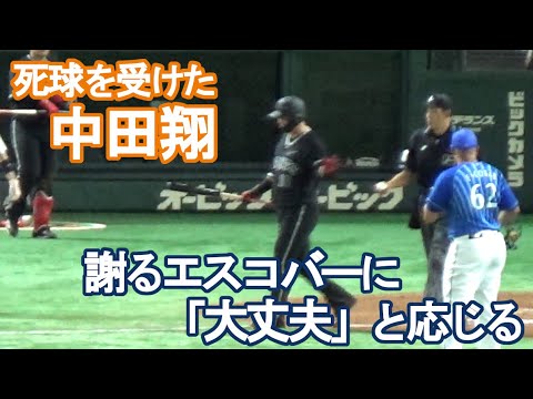 【デッドボールの中田翔】謝るエスコバーに「大丈夫」と紳士的な対応を見せる（2022/9/6）巨人vs横浜DeNA