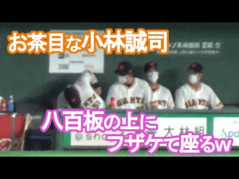 【お茶目な小林誠司】八百板の上にフザケて座る😊試合前の巨人ベンチ