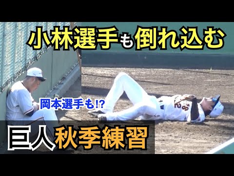巨人ウォーカー選手は柵越え連発！小林選手が倒れたこの練習、経験者ならわかるはず...これは地味にキツイよねw 秋季練習 読売ジャイアンツ
