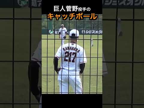 軽く投げてもエグい球...巨人菅野智之投手のキャッチボール