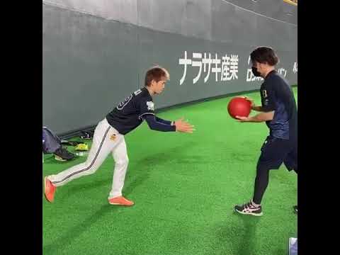 山岡泰輔: シングルレッグMBスクワット
